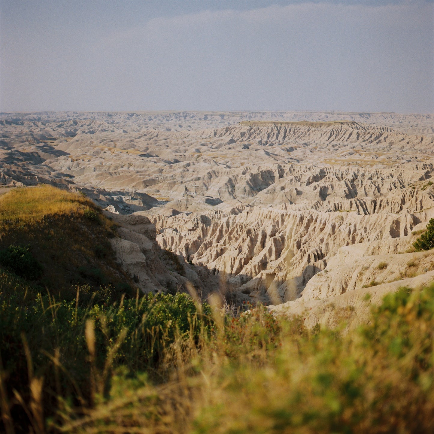 Kodak Professional Gold 200 - 35mm Film