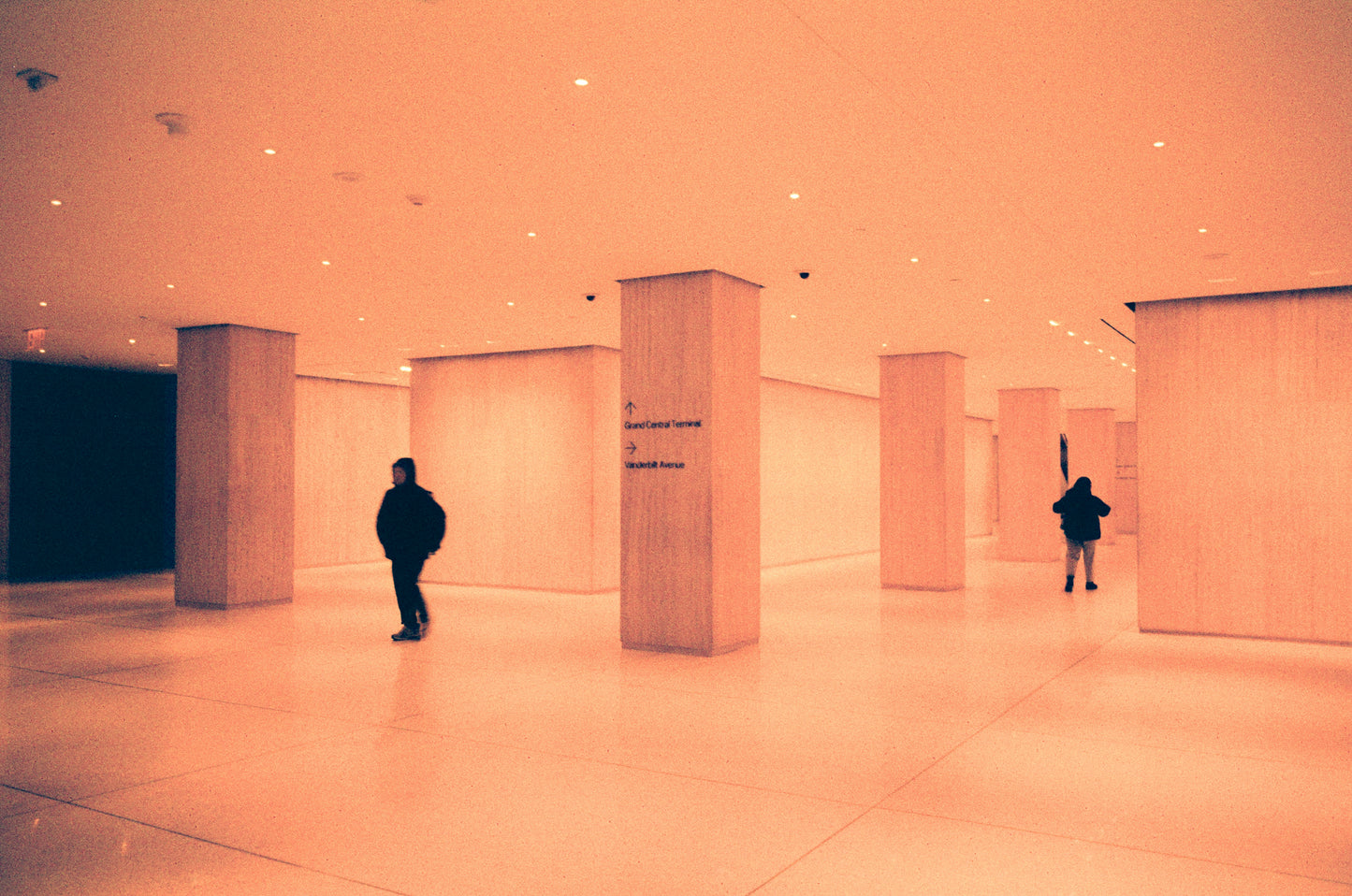 Harman Red - 35mm Film