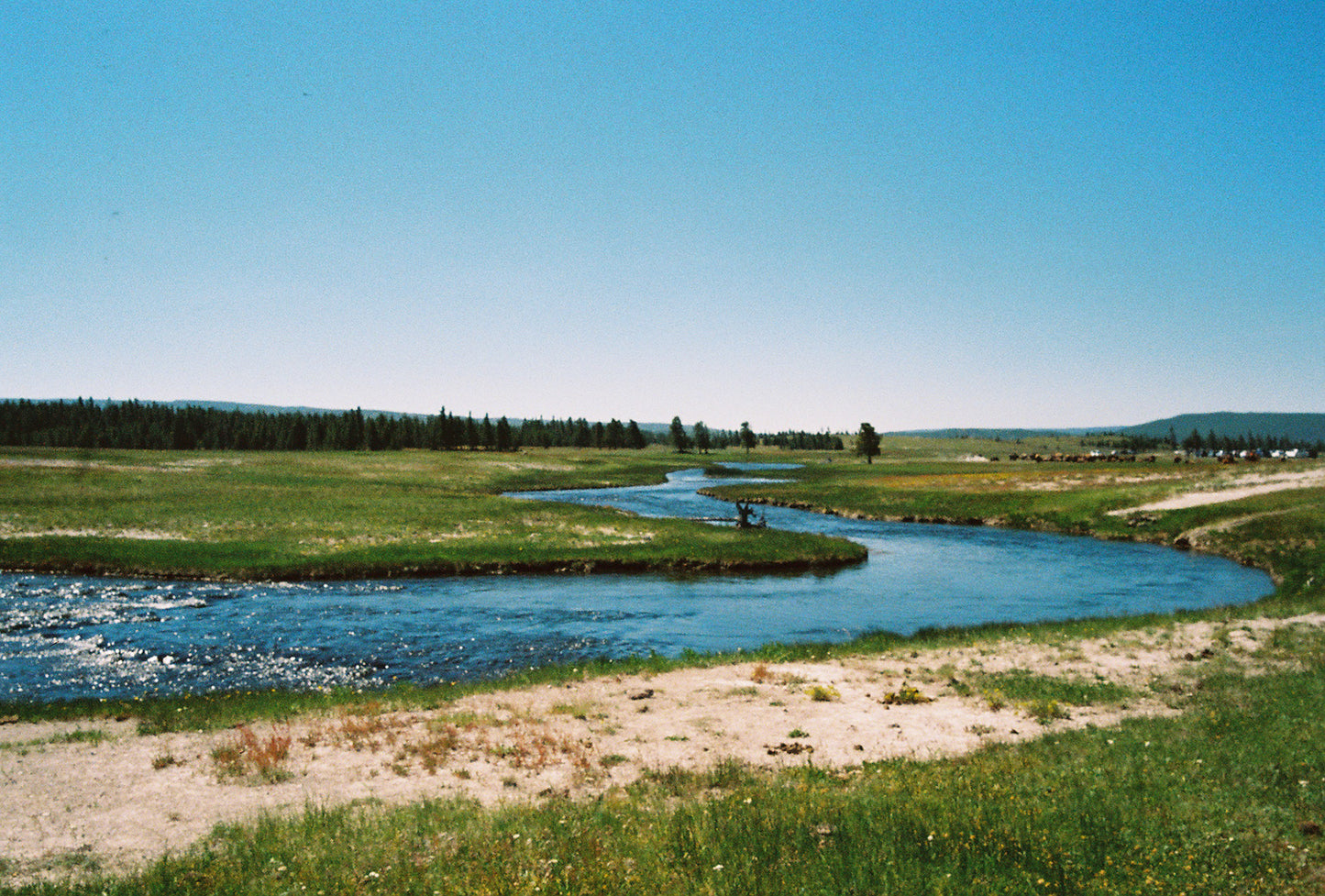 Flic Film Aurora 800 - 35mm Film