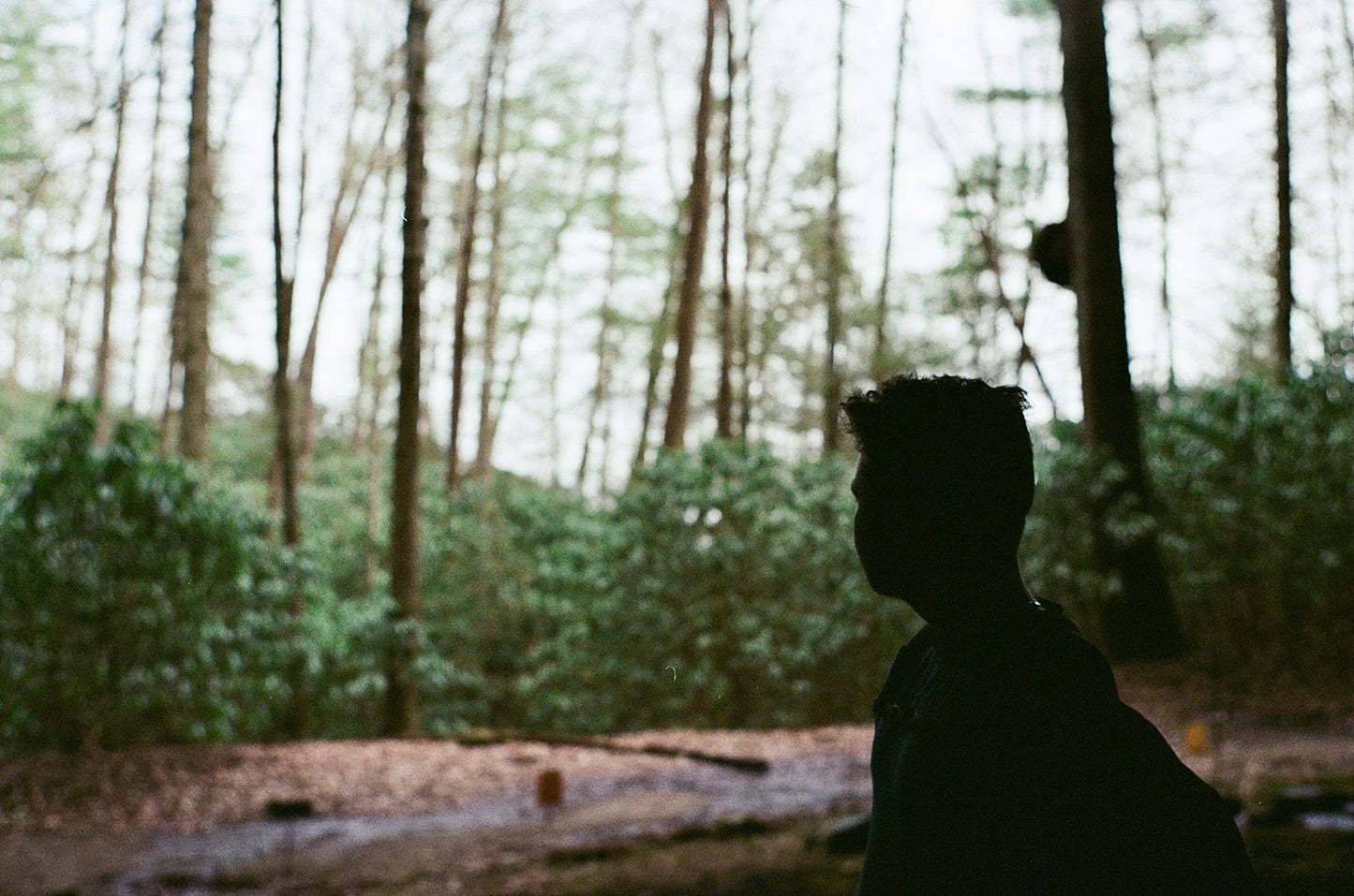 Kodak UltraMax 400 - 35mm Film