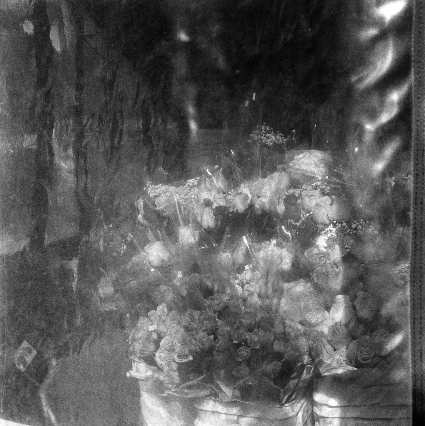 Ilford Delta 3200 Professional - 120 Roll Film