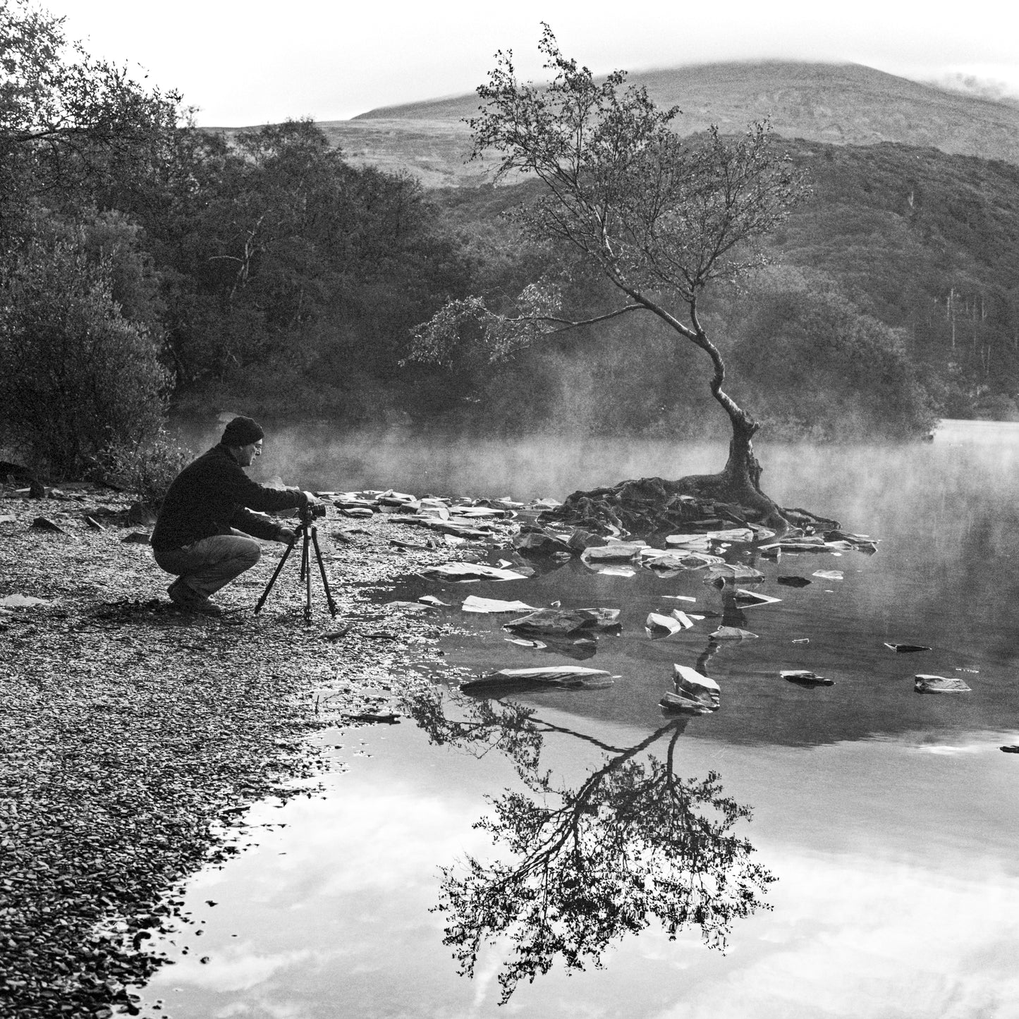 Ilford FP4 Plus - 120 Roll Film