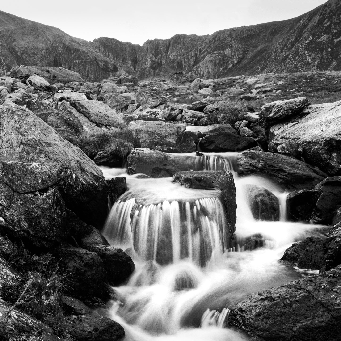 Ilford FP4 Plus - 120 Roll Film