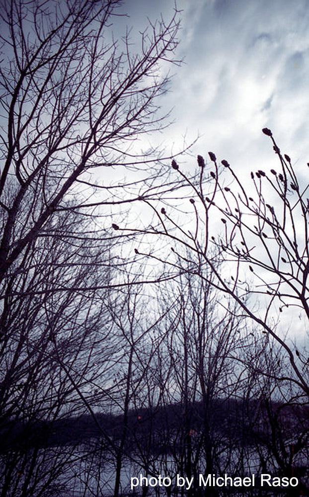 FPP Low ISO Color - 35mm Film
