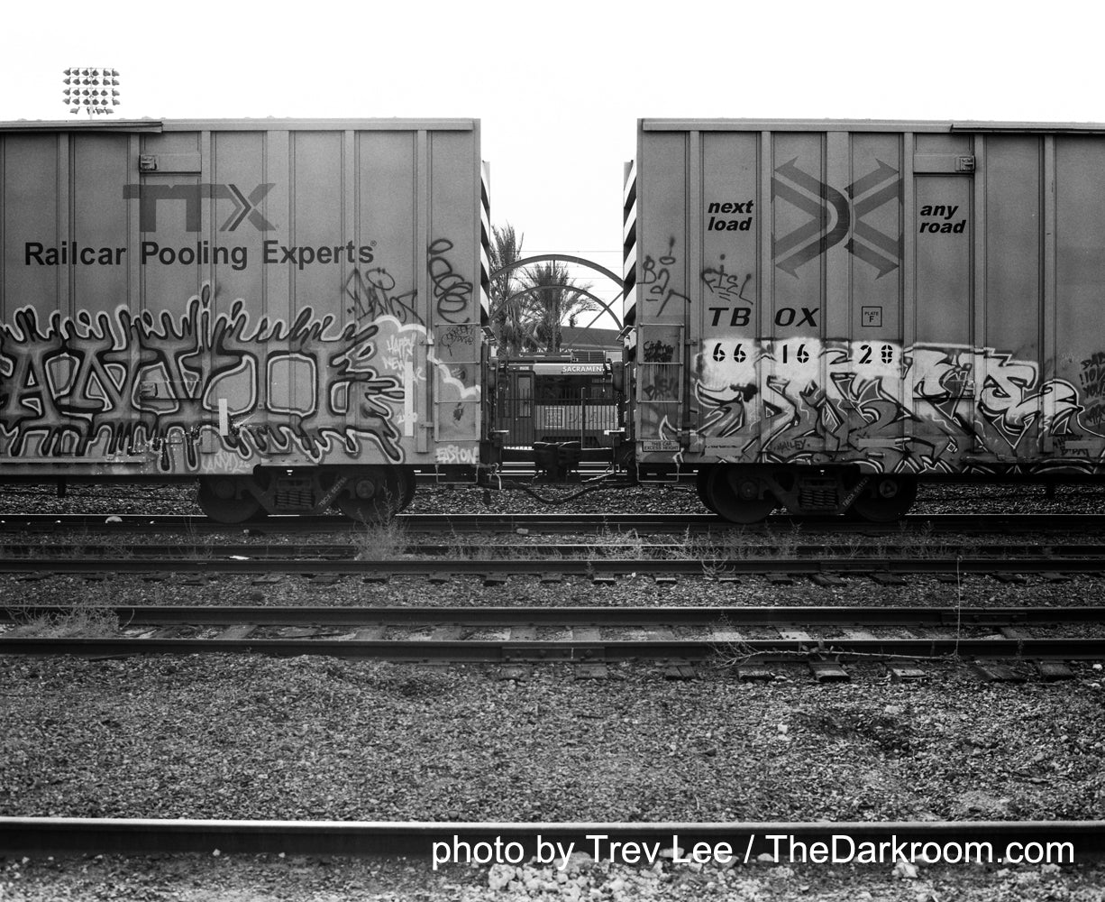 FPP Wolfman - 120 Roll Film