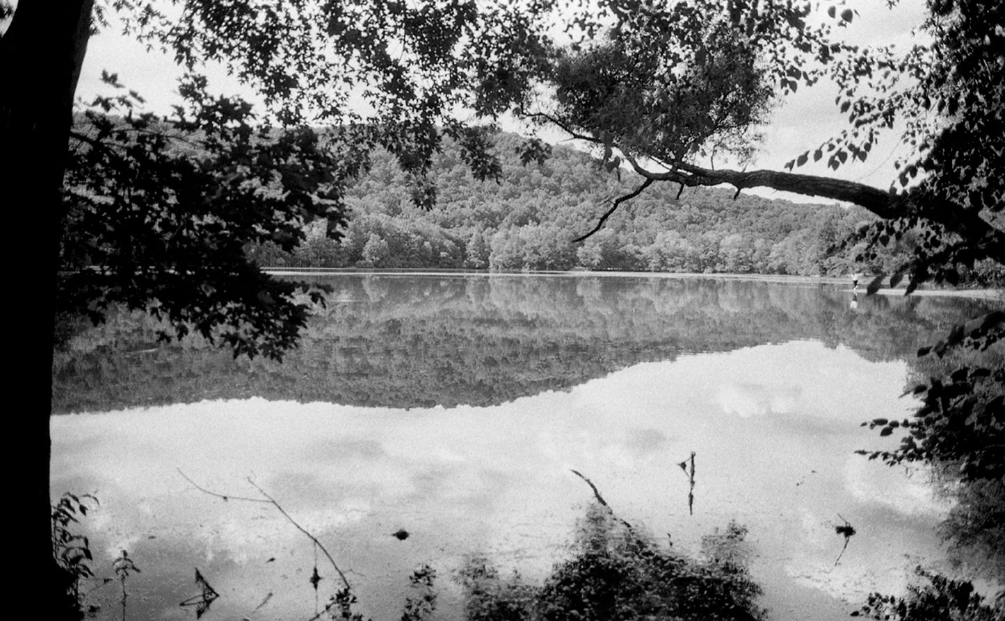 FPP Dracula - 35mm Film