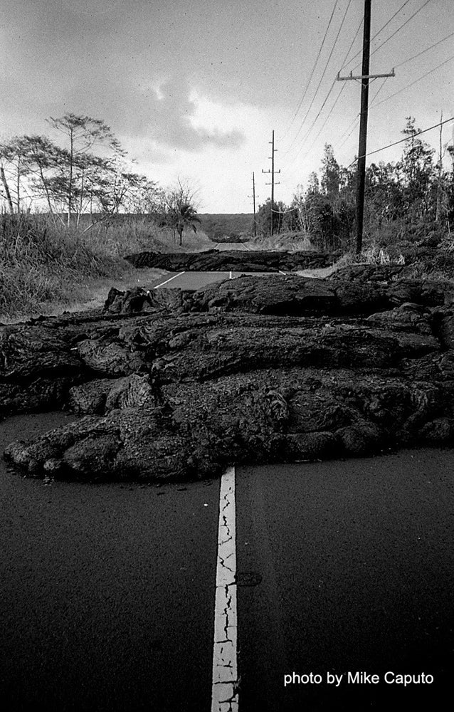 FPP Dracula - 35mm Film