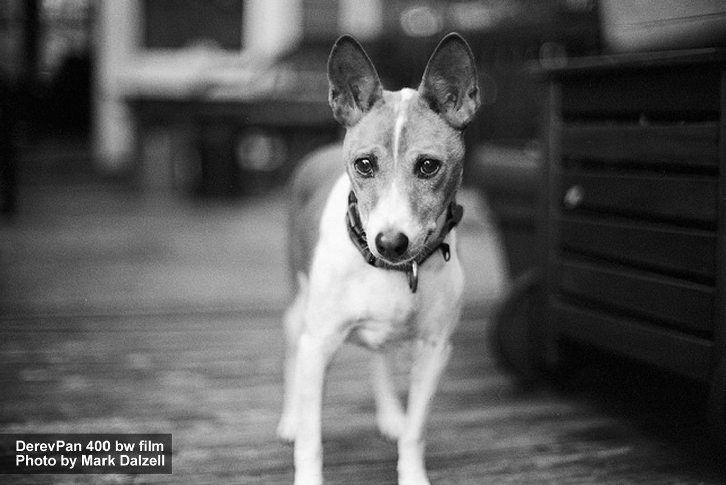 FPP Derev Pan 400 - 35mm Film