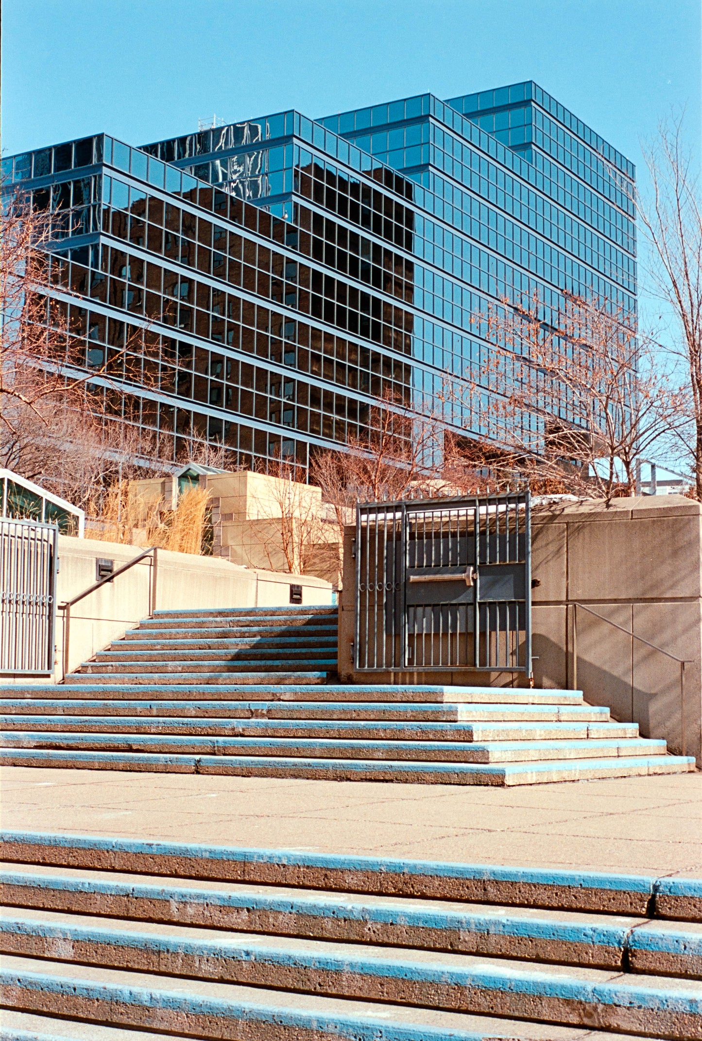 Flic Film Elektra 100 - 35mm Film