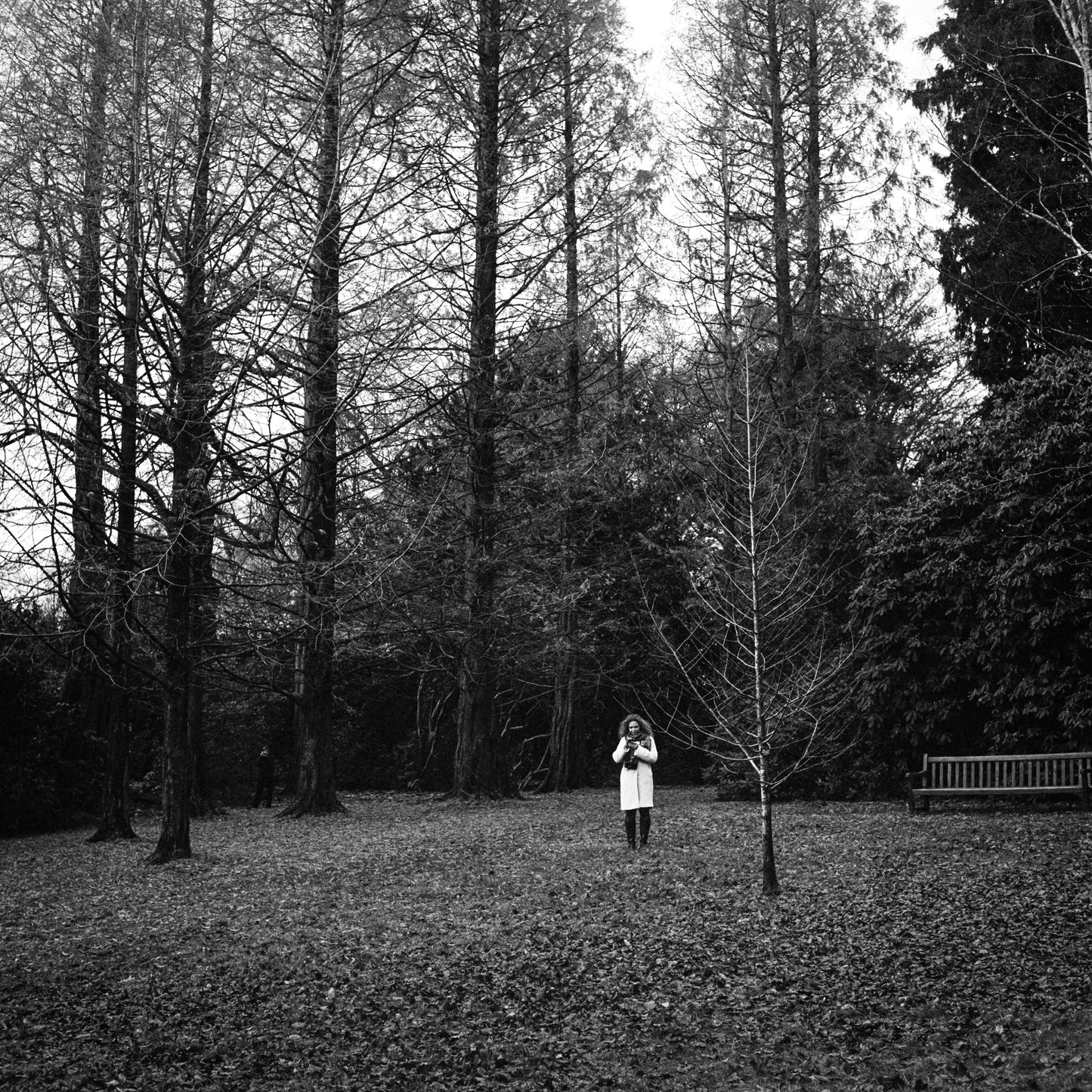 Ilford HP5 Plus -120 Roll Film