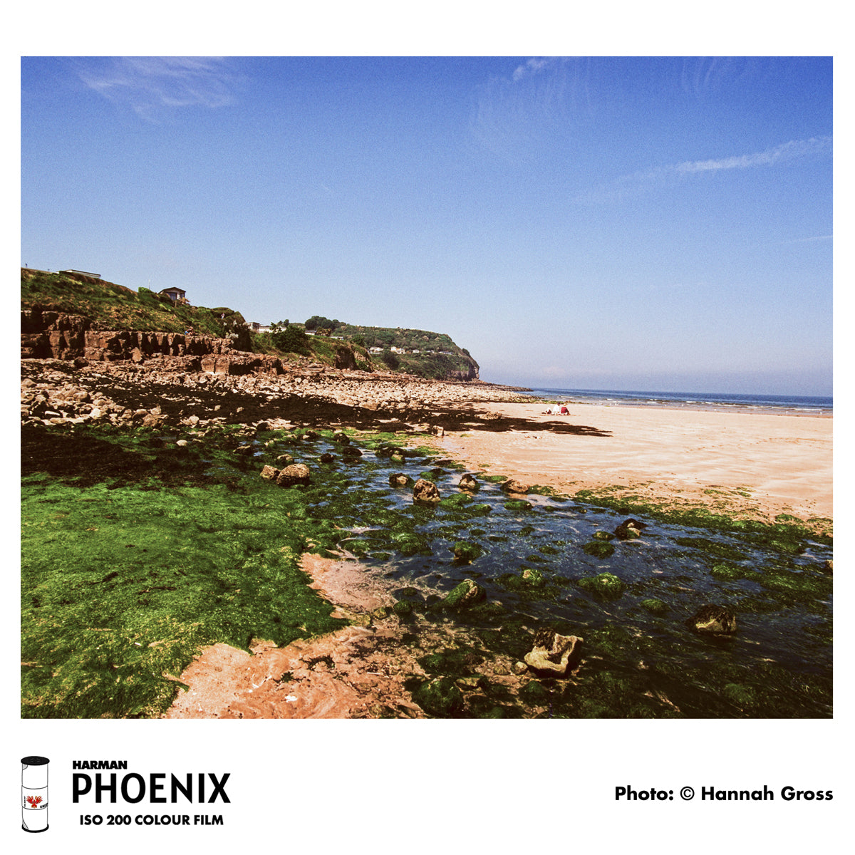Harman Phoenix - 120 Roll Film
