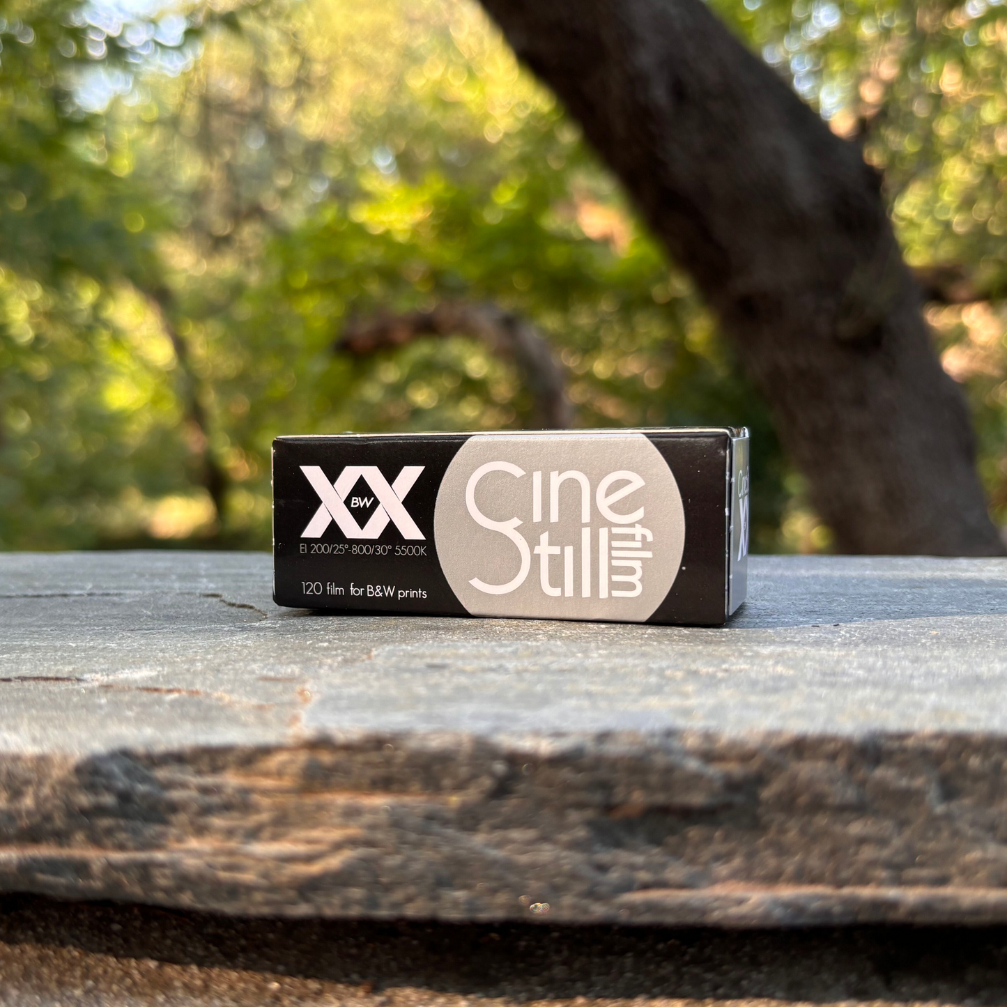 Save on CineStill BwXX 120 Format Expires 2/25