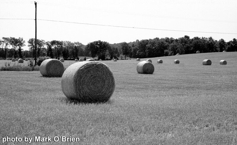 FPP Jekyll Hyde - 35mm Film