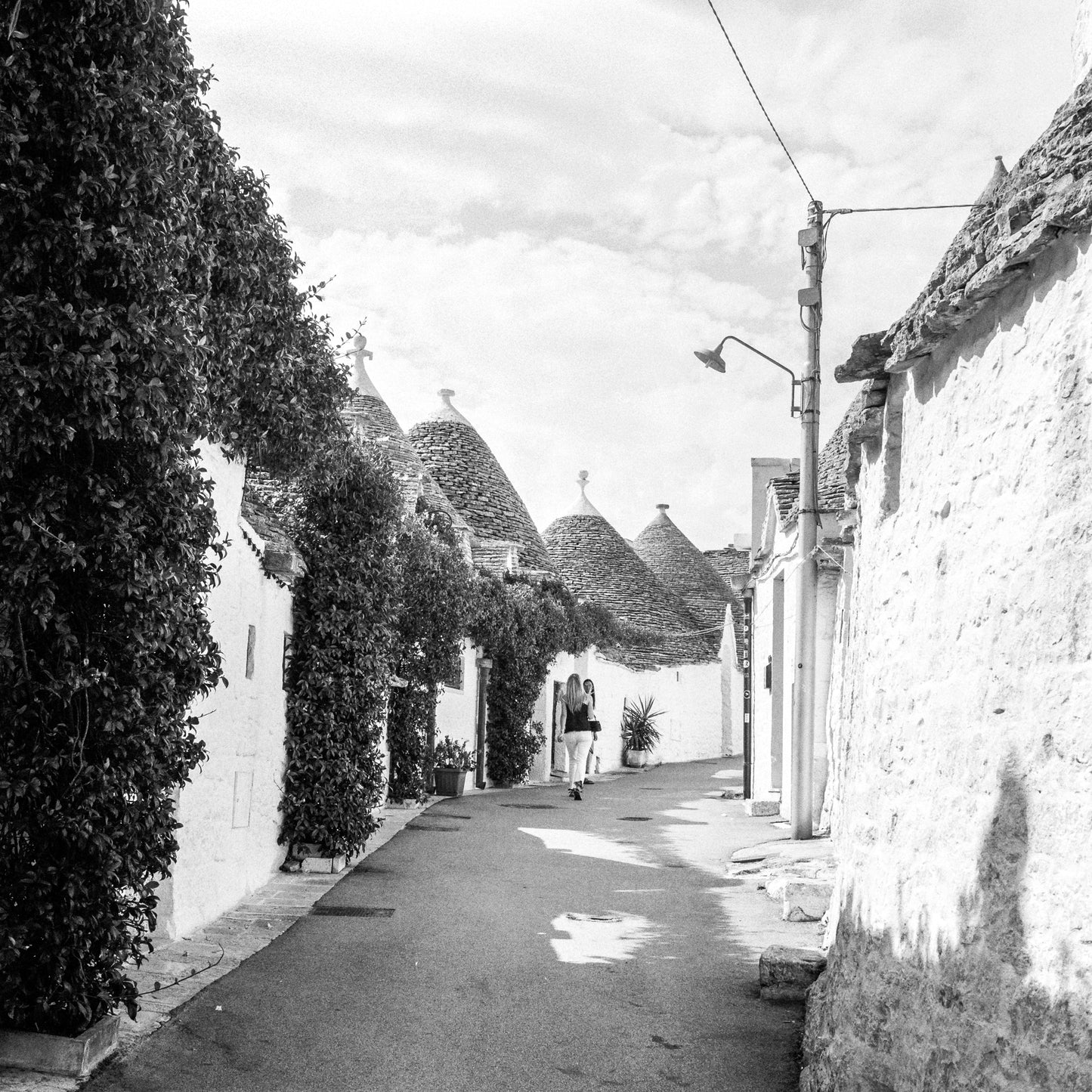 Kentmere Pan 400 - 120 Roll Film