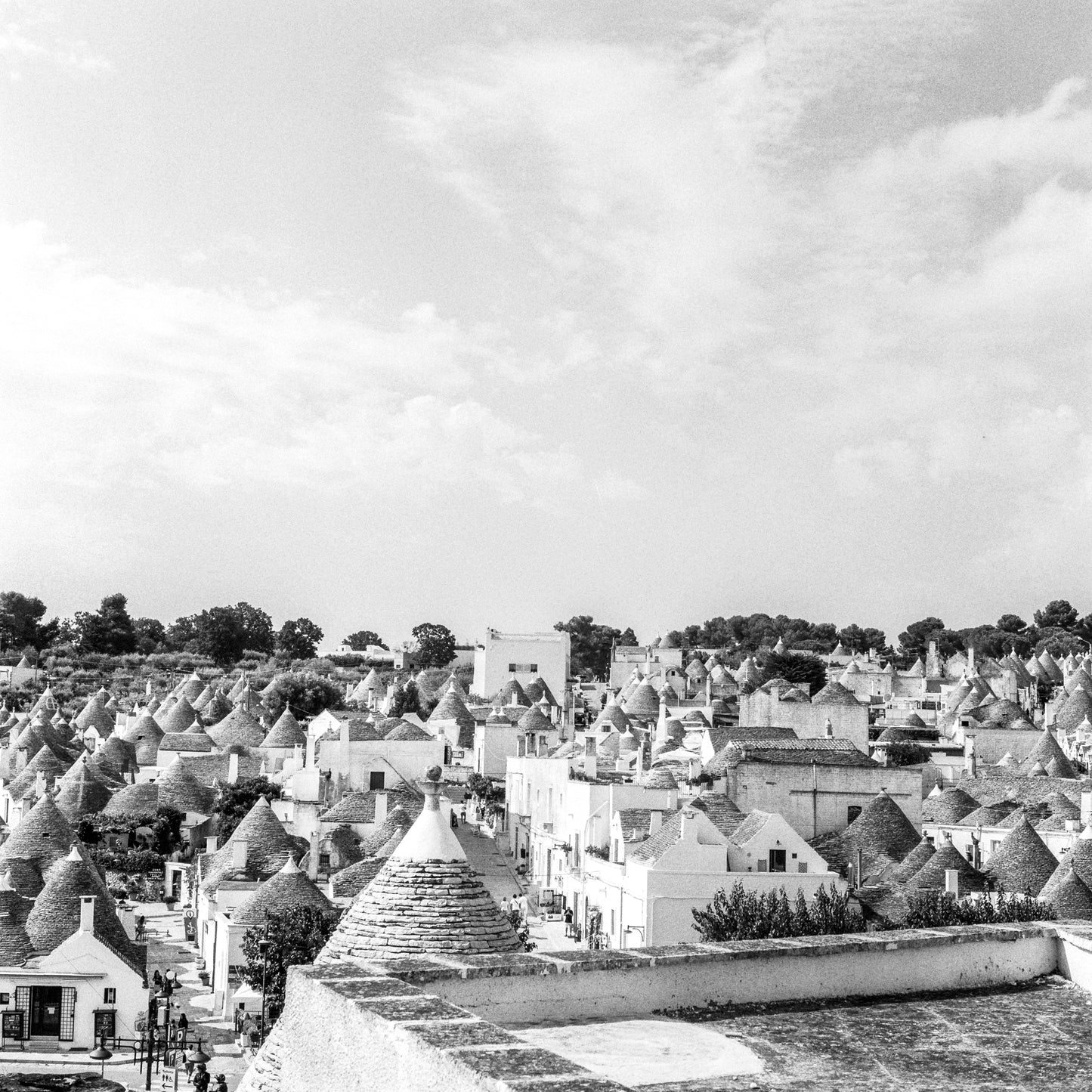 Kentmere Pan 400 - 120 Roll Film