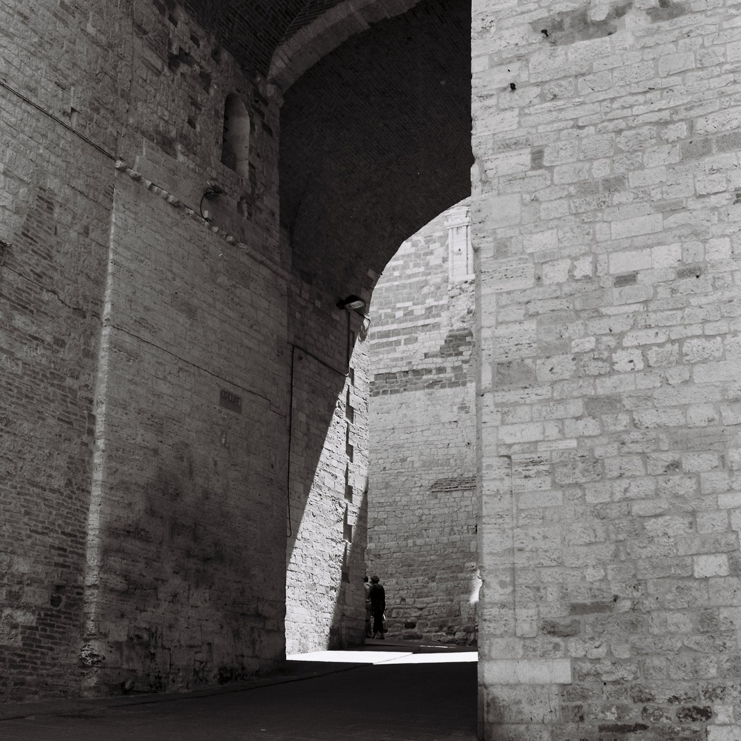 Kodak Professional T-Max 100 - 120 Roll Film