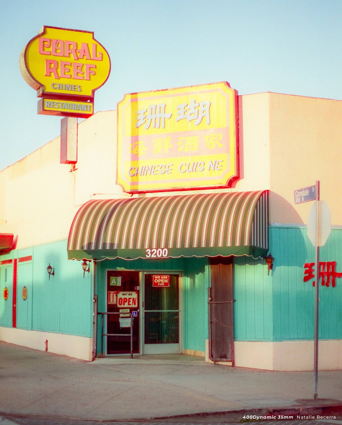 CineStill 400D - 35mm Film