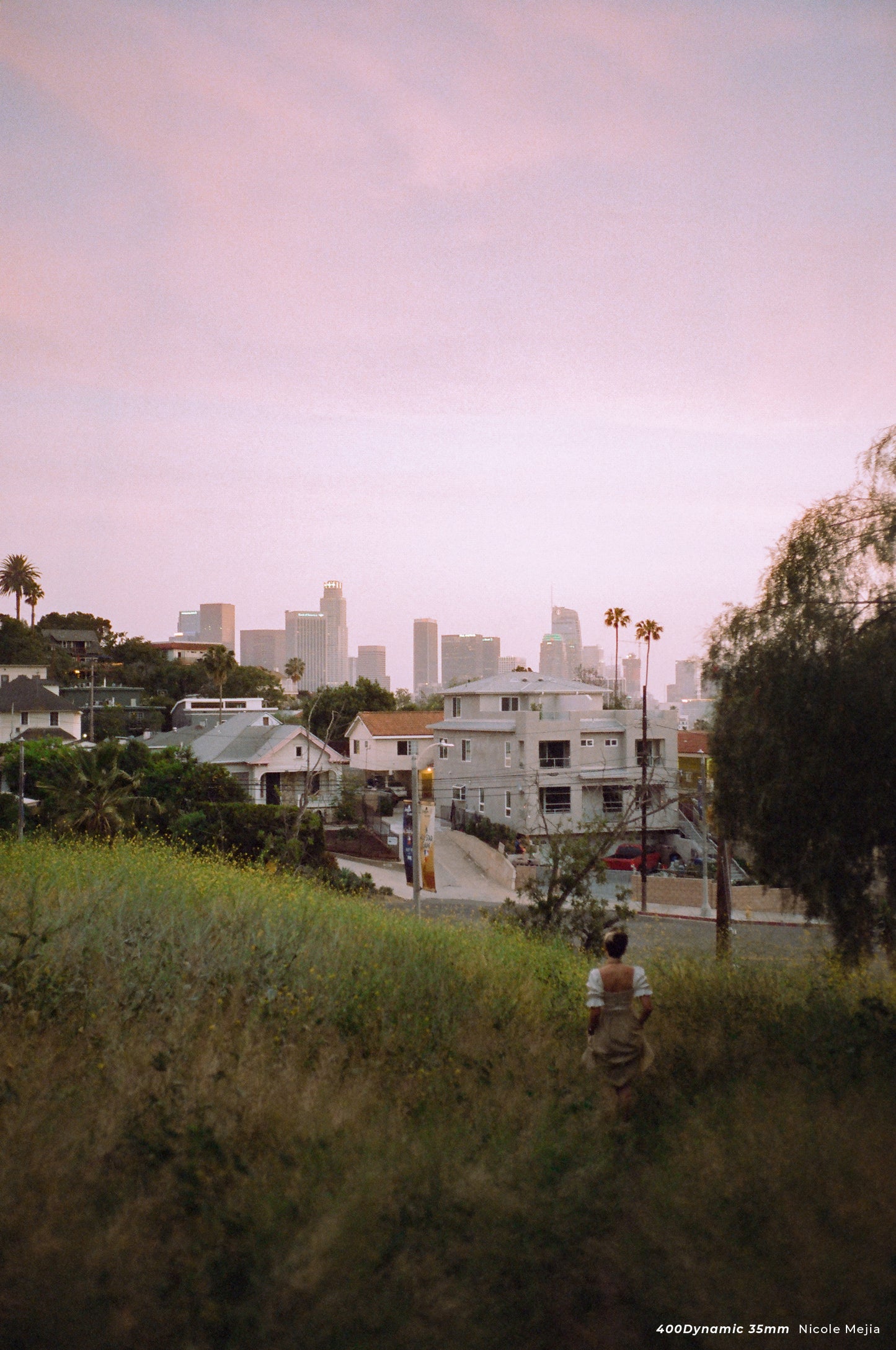 CineStill 400D - 35mm Film