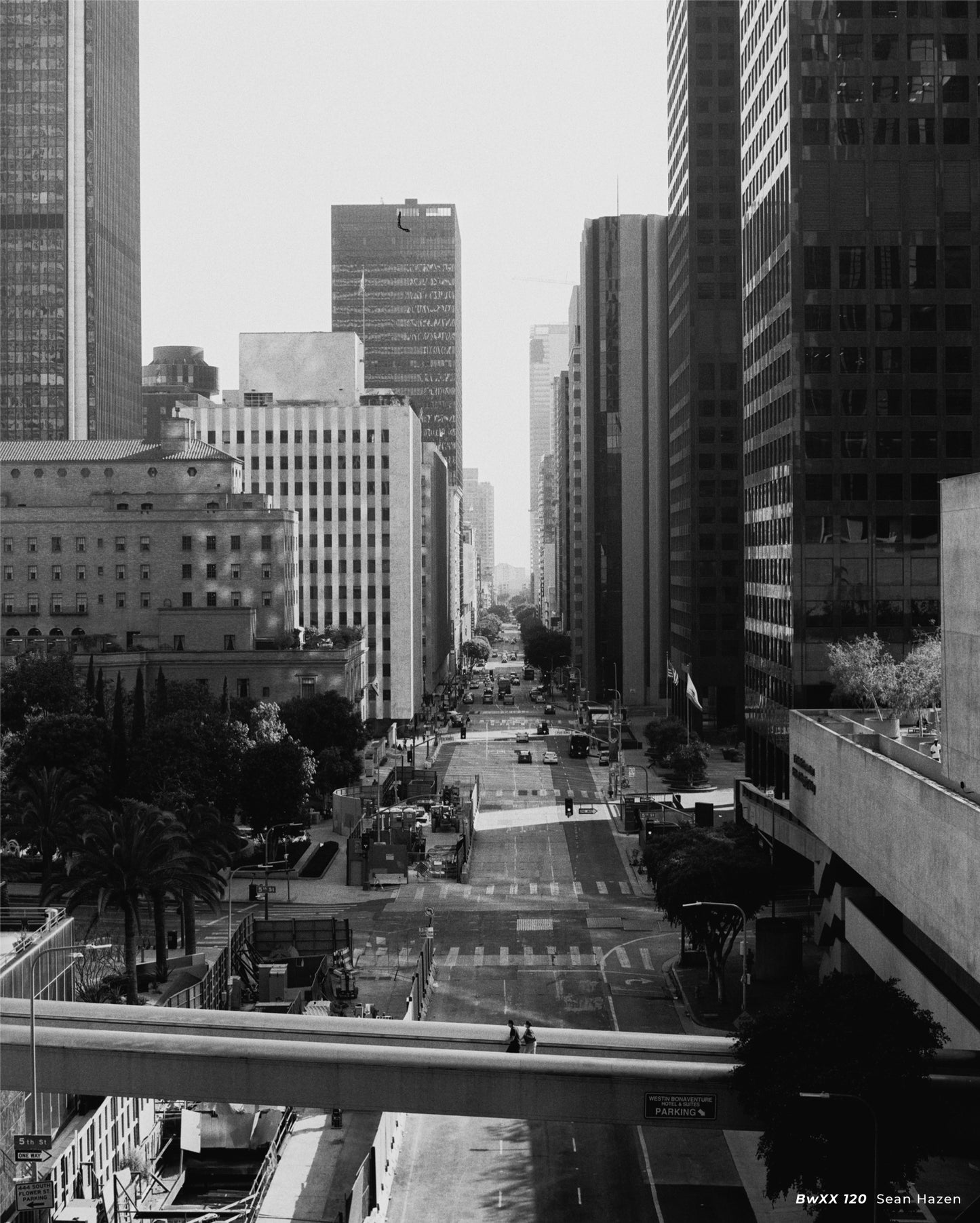 Save on CineStill BwXX 120 Format Expires 2/25