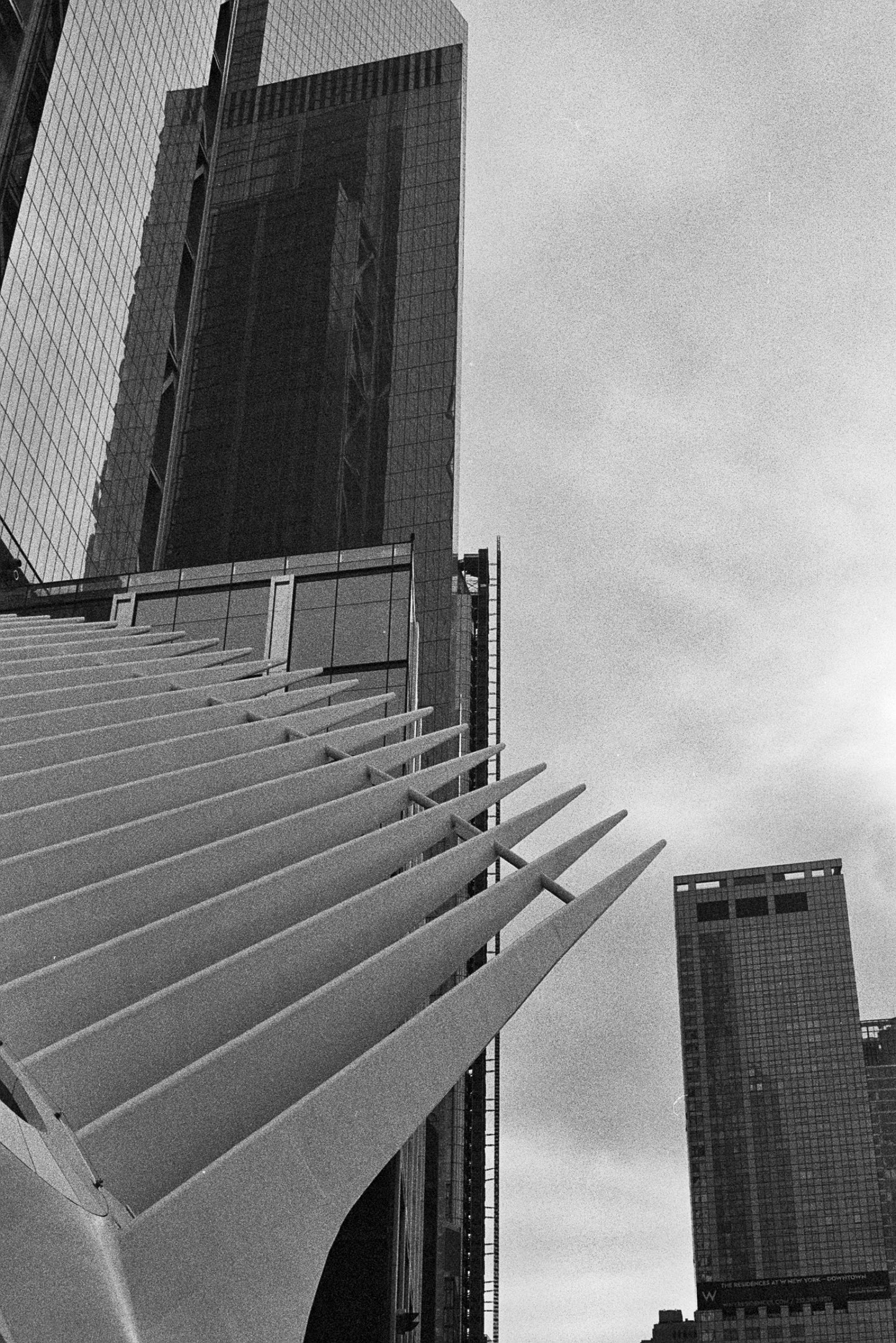 Kodak Professional Tri-X 400 - 35mm Film