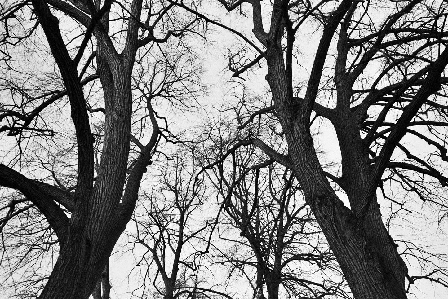 Save on Kodak Professional Tri-X 400 - 35mm - 36 Exposures Expires 1/25