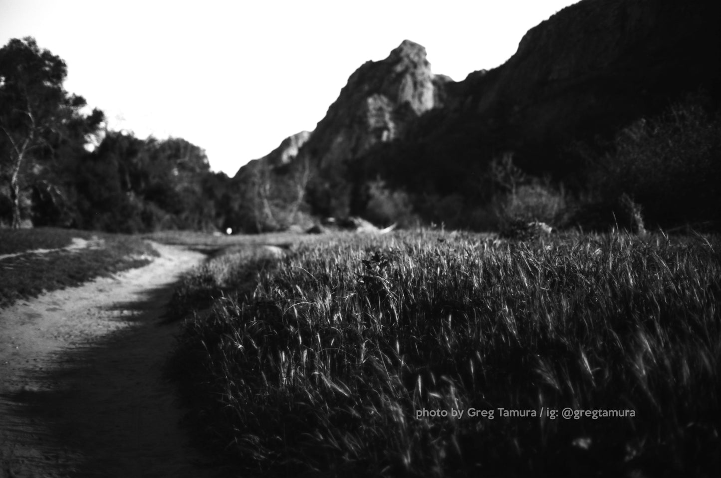 FPP Yeti - 35mm Film