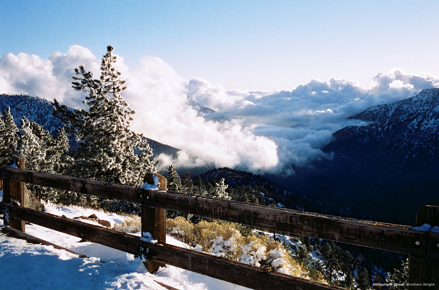 CineStill 50D - 35mm Film
