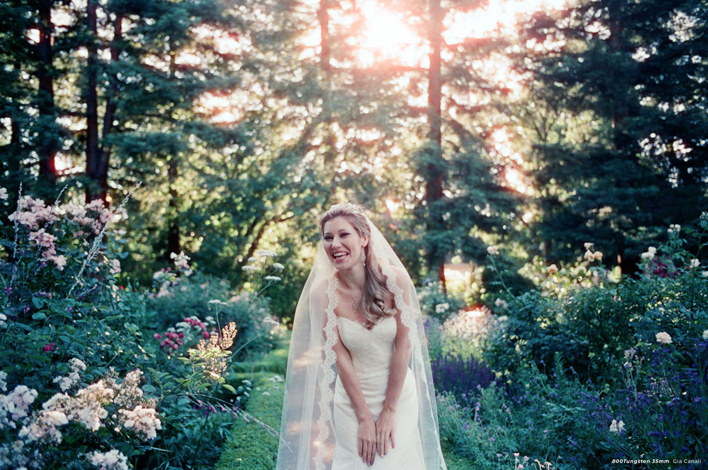 CineStill 800T - 35mm Film