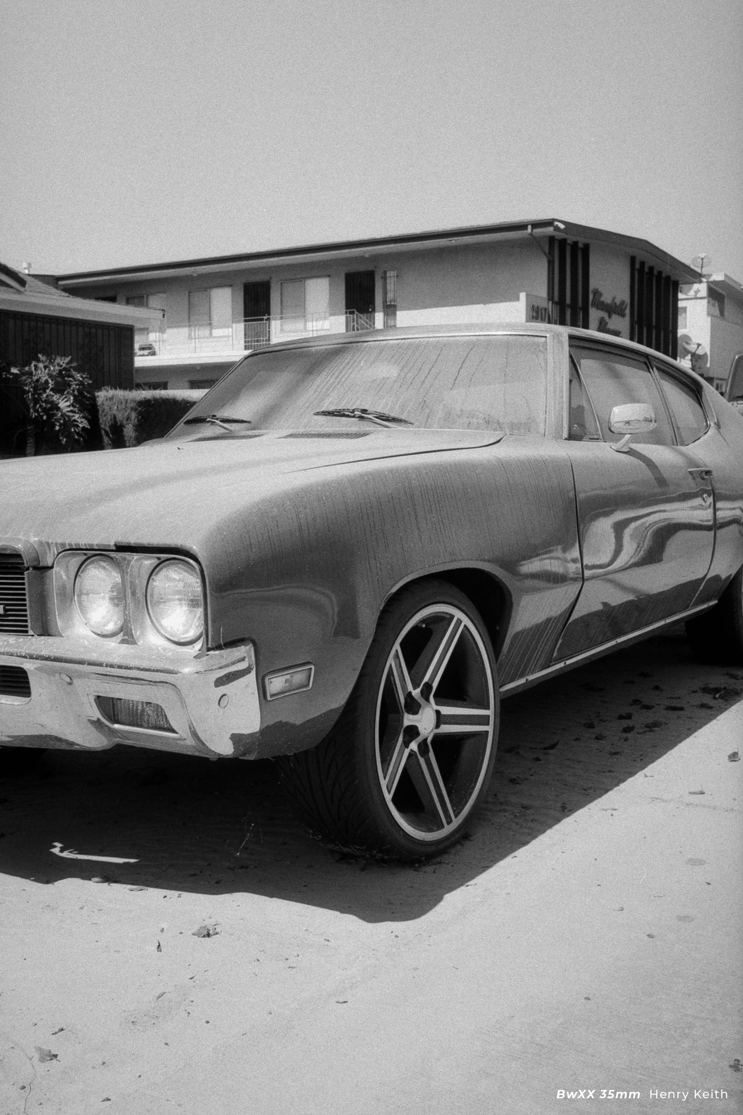 CineStill BwXX - 35mm Film