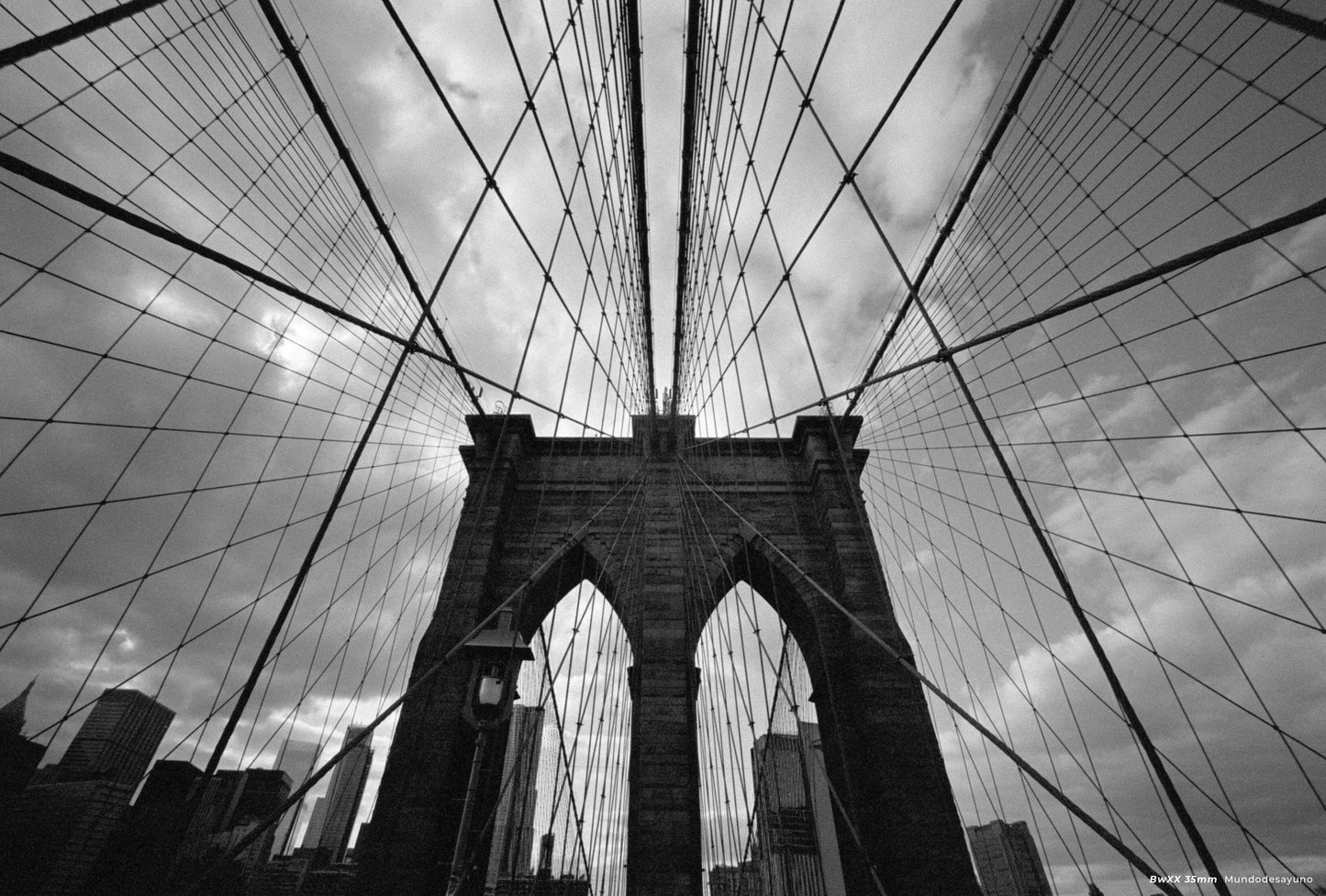 CineStill BwXX - 35mm Film