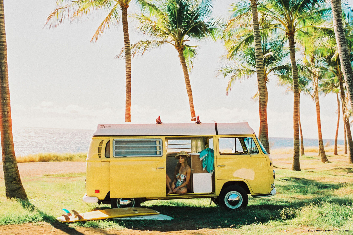 CineStill 50D - 35mm Film