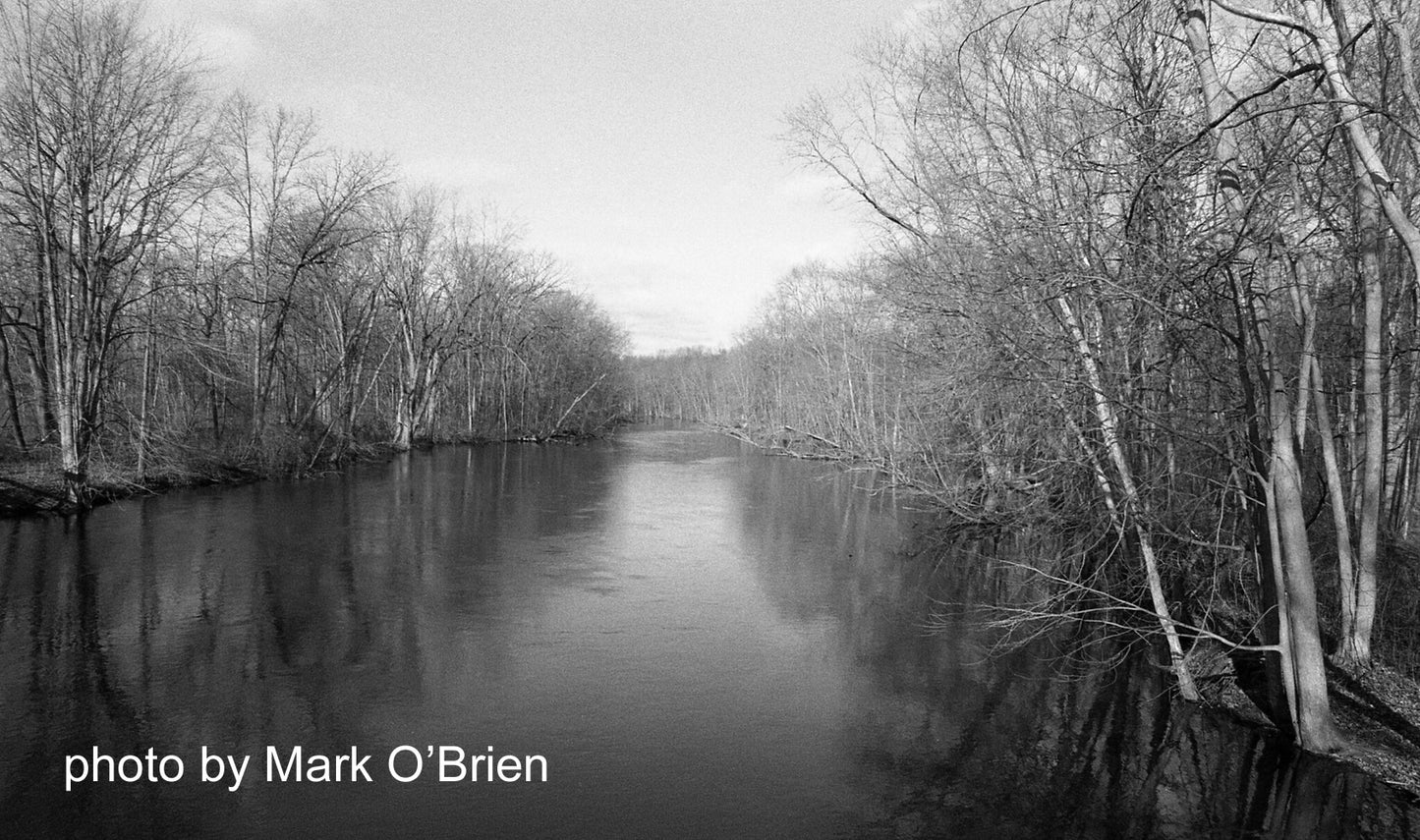 FPP Film Love - 35mm Film