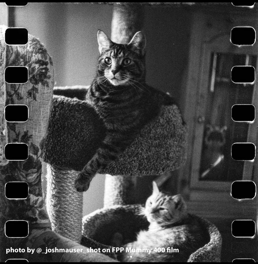 FPP The Mummy - 35mm Film