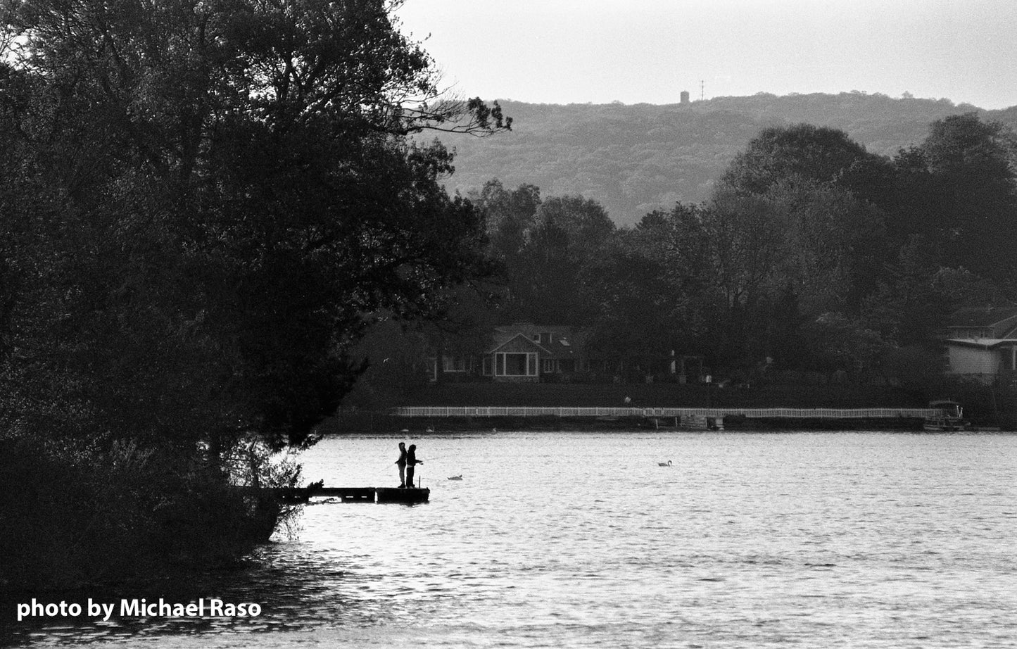FPP X-Ray - 35mm Film
