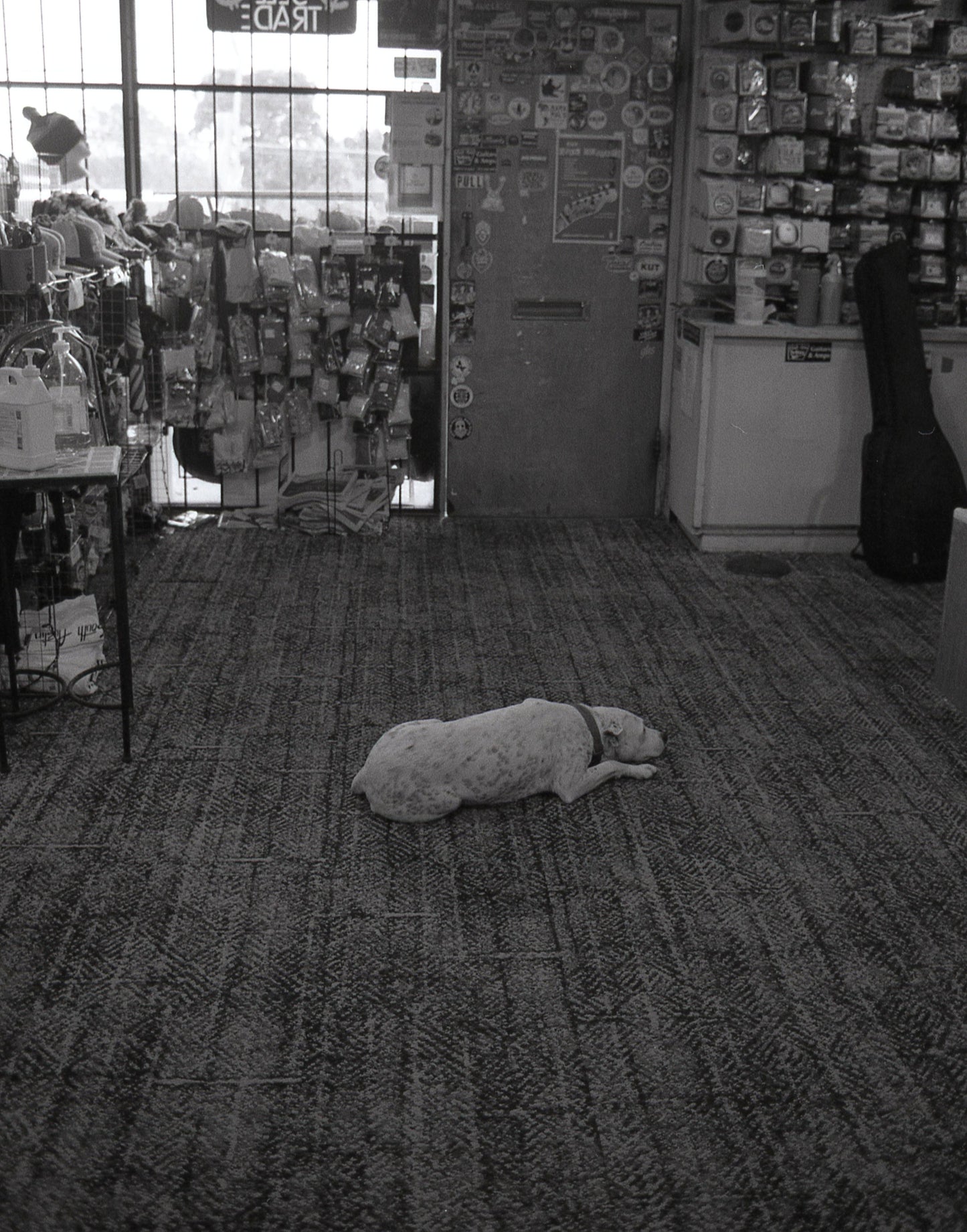 Kodak Professional T-Max 400 - 35mm Film