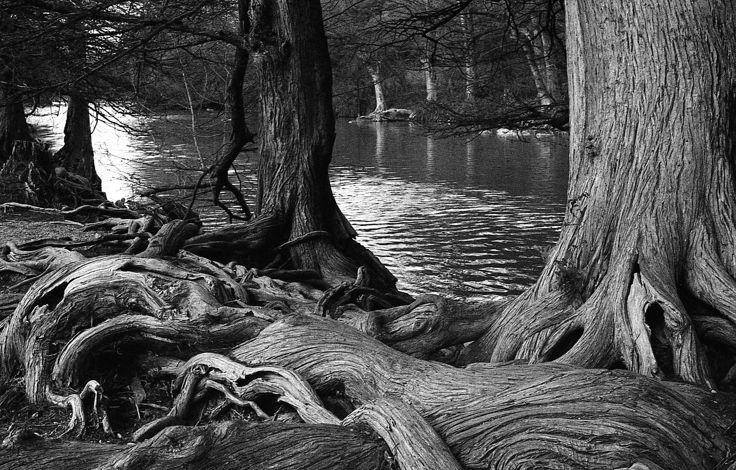 Ilford HP5 Plus - 35mm Film