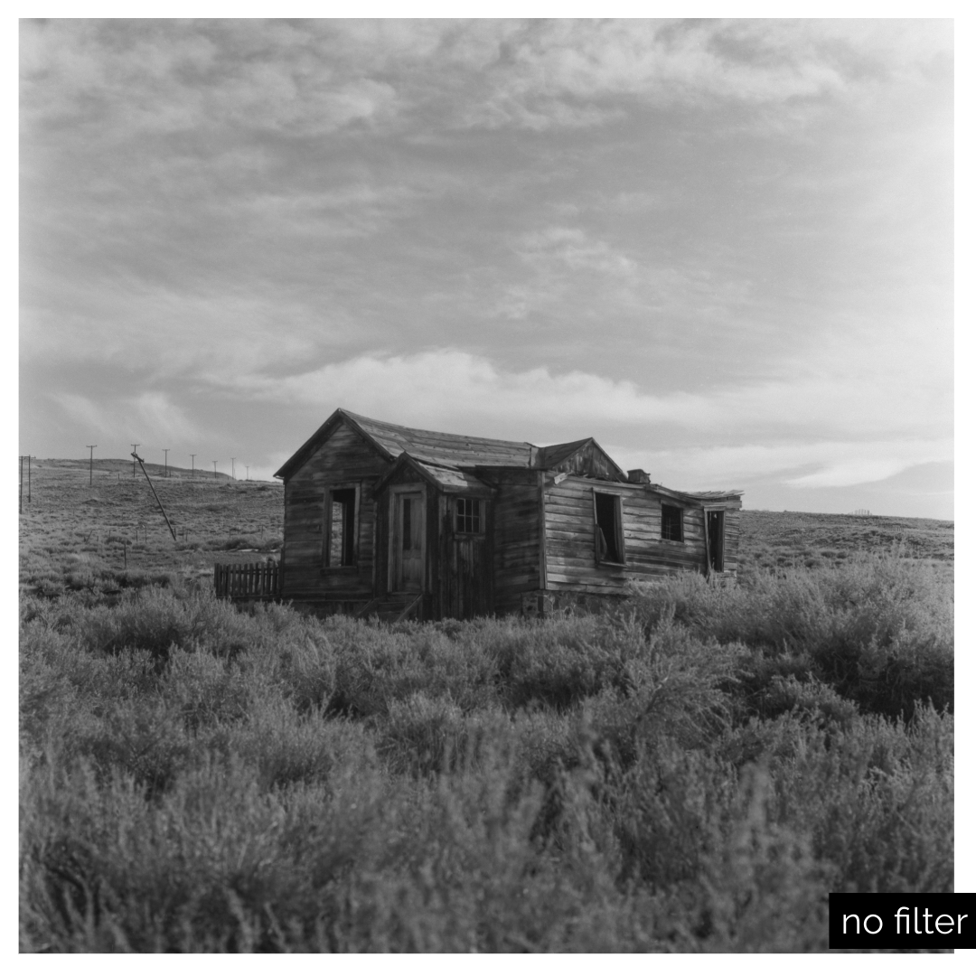 FPP Dracula - 120 Roll Film