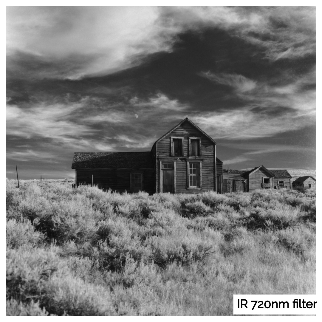 FPP Dracula - 120 Roll Film