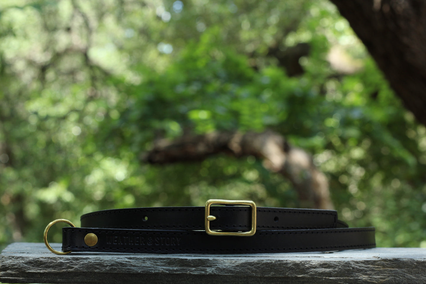 Weather & Story Camera Strap