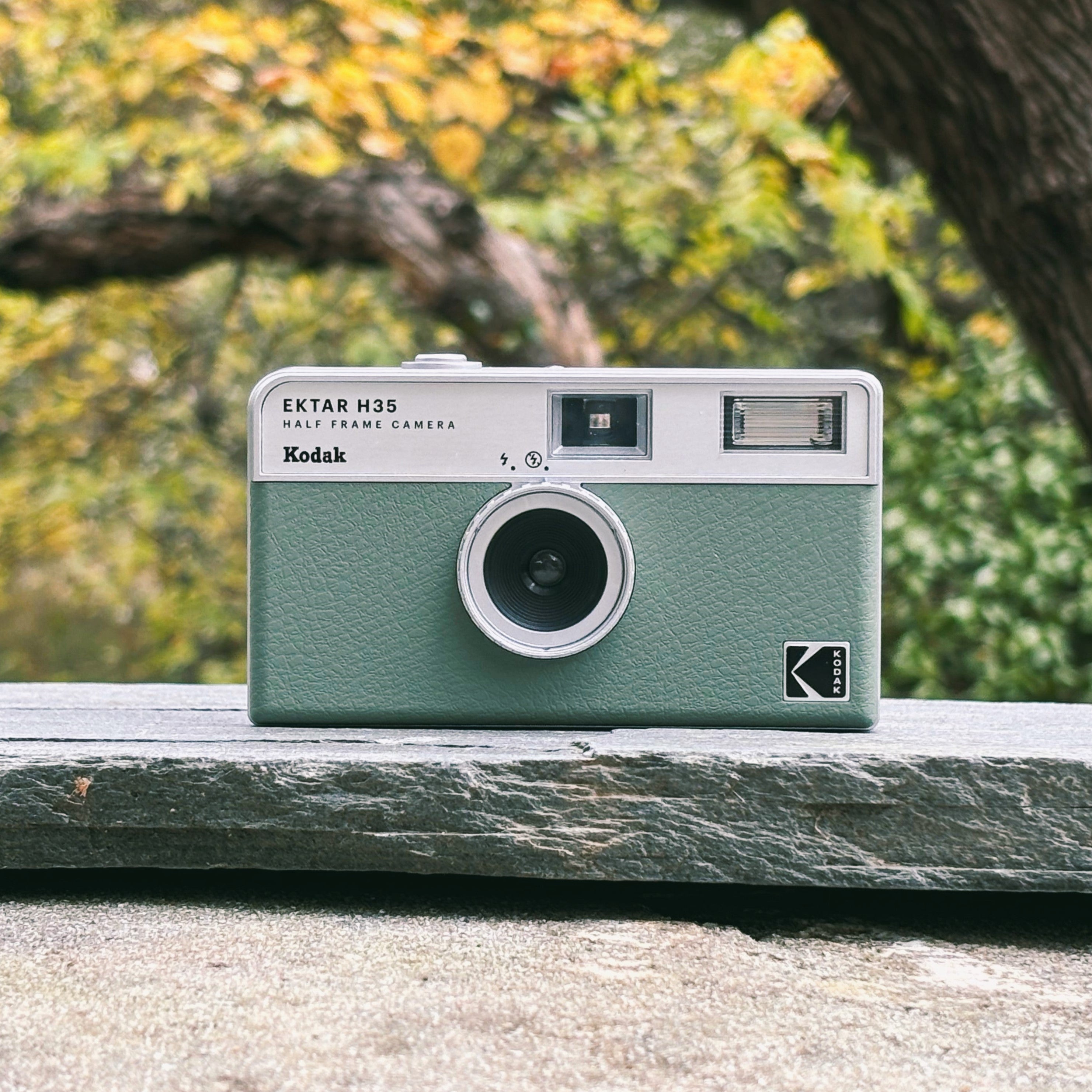 A Film Focused Photography Shop – Bluebird Film Shop