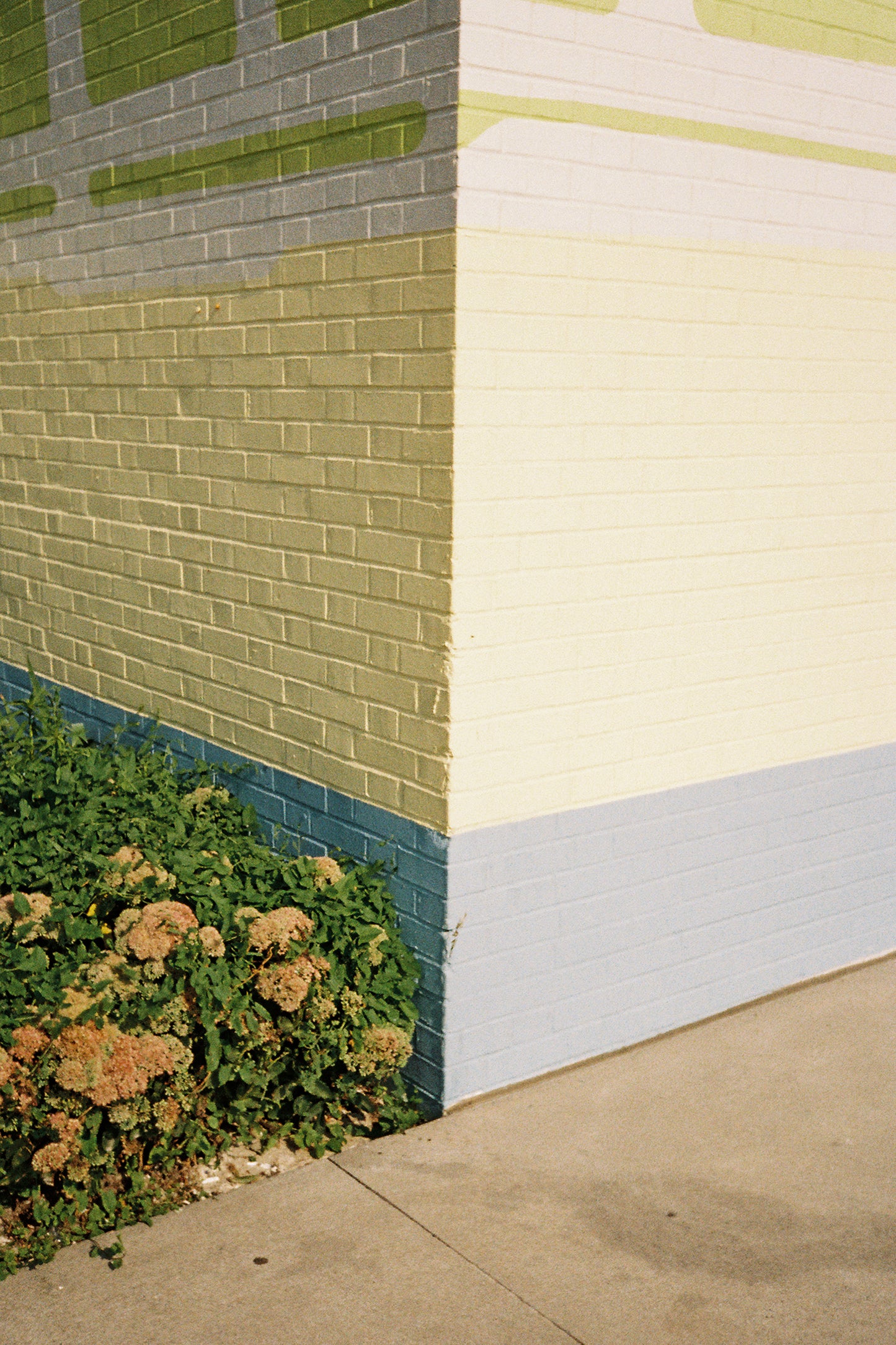 Kodak Pro Image 100 - 35mm Film
