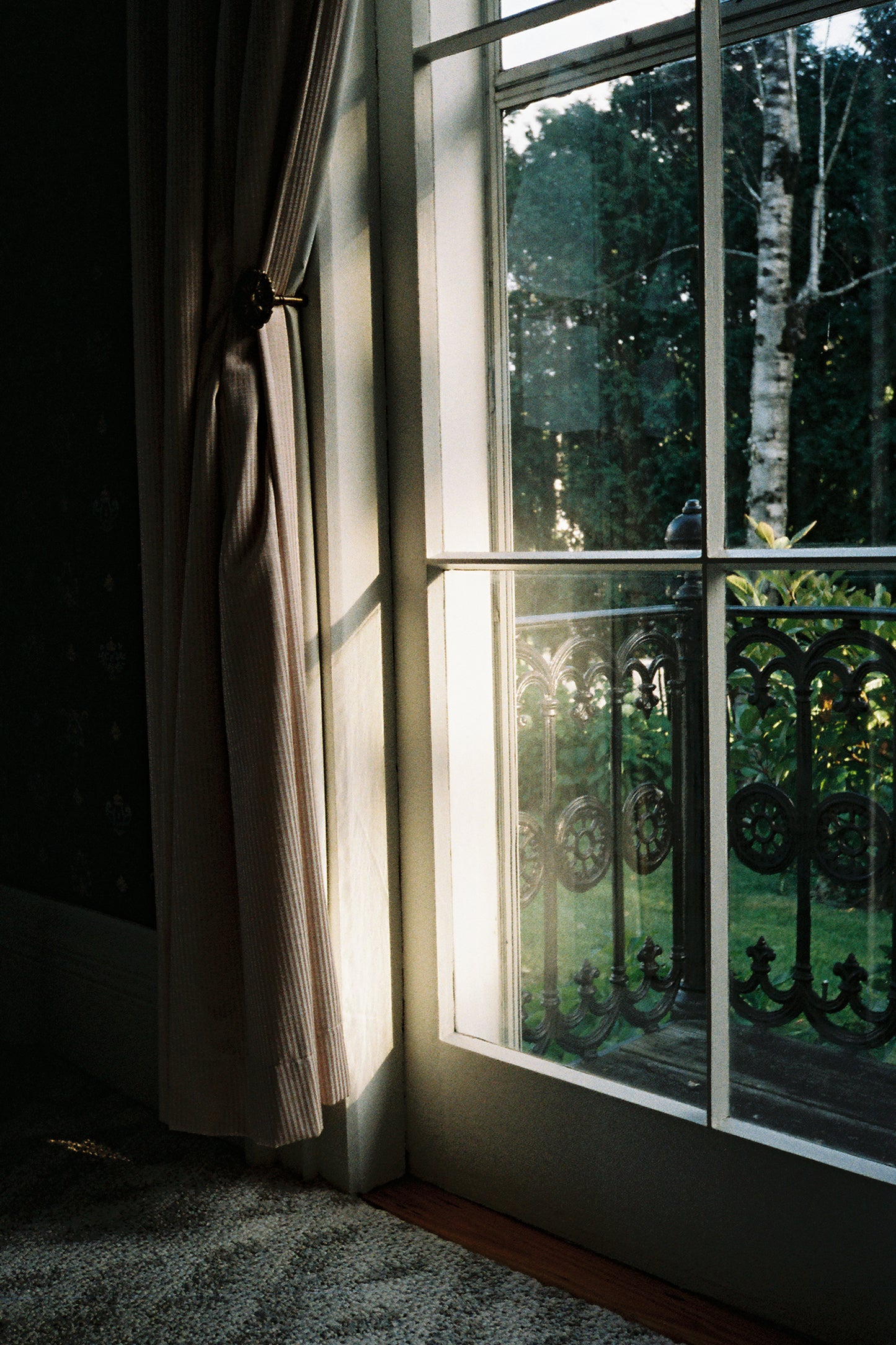 Kodak Pro Image 100 - 35mm Film