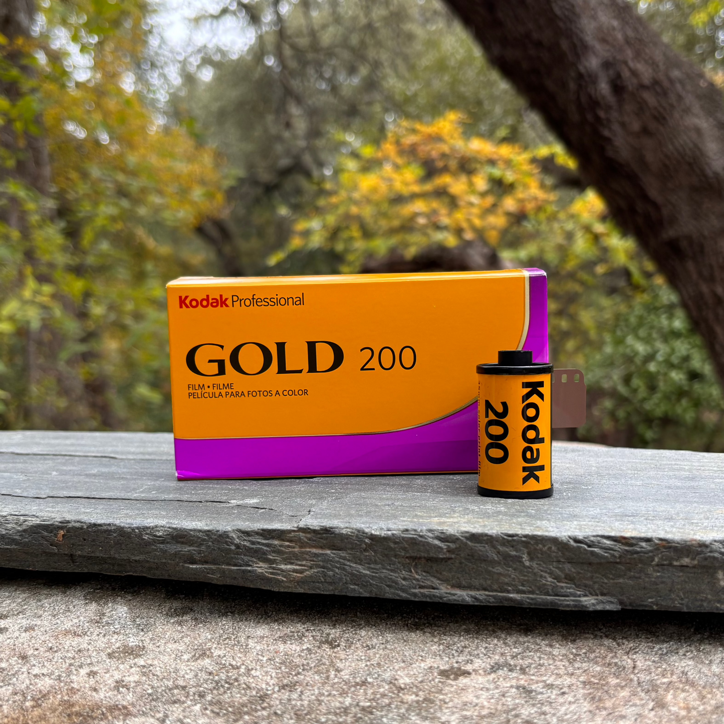 Save on Kodak Professional Gold 200 Film - 120 Format Expires 1/25