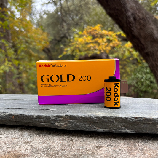 Kodak Professional Gold 200 Film - 120 Format