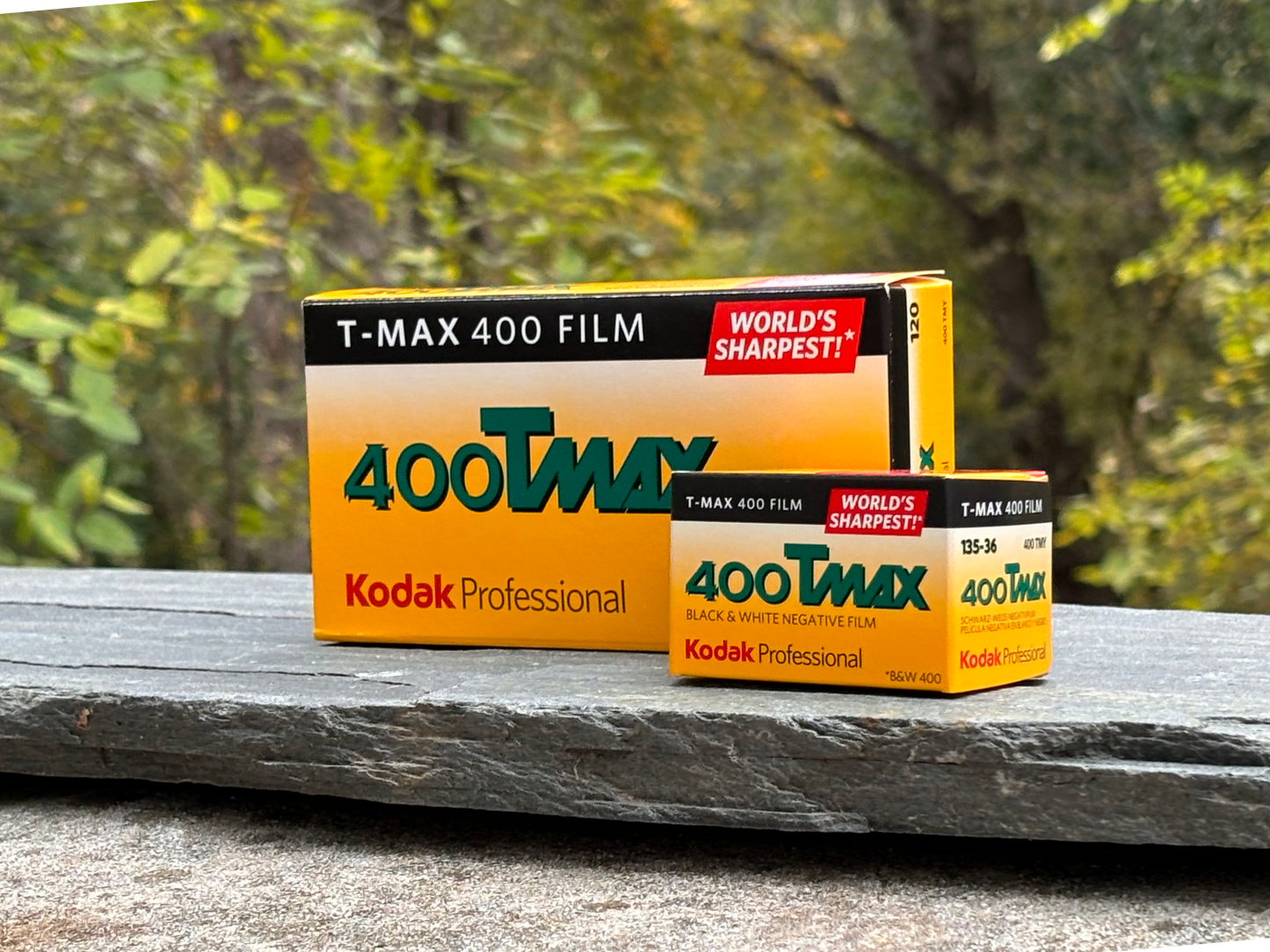 Save on Kodak Professional T-Max 400 Film - 120 Format Expires 1/25