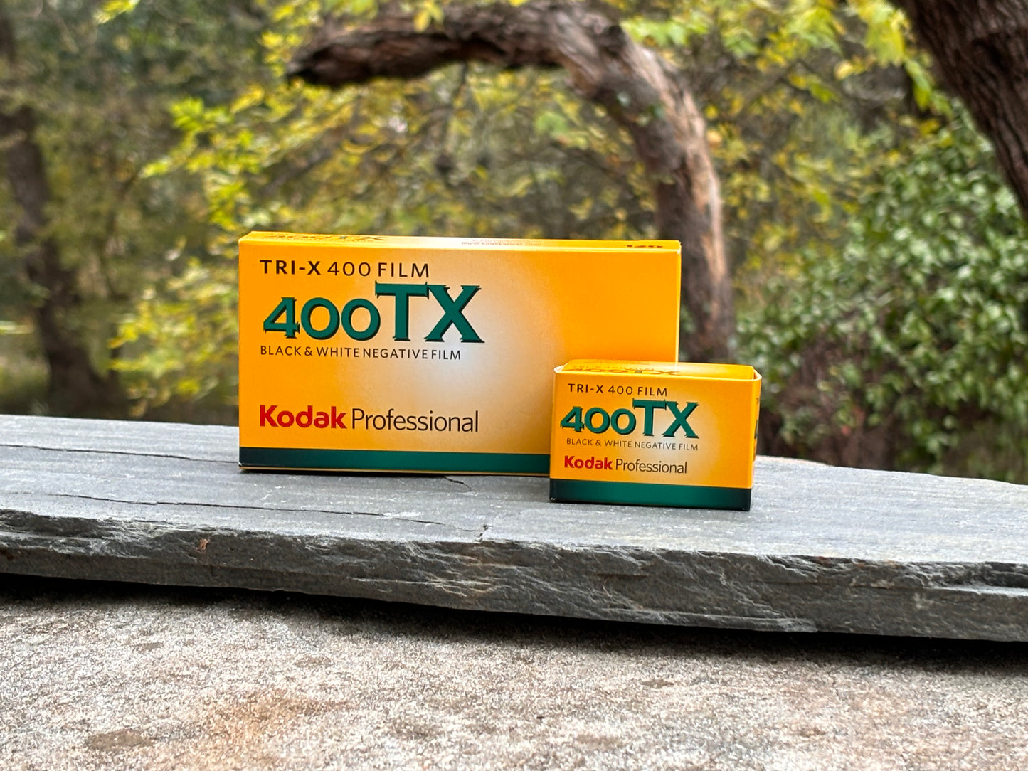 Save on Kodak Professional Tri-X 400 -120 Format Expires 1/25