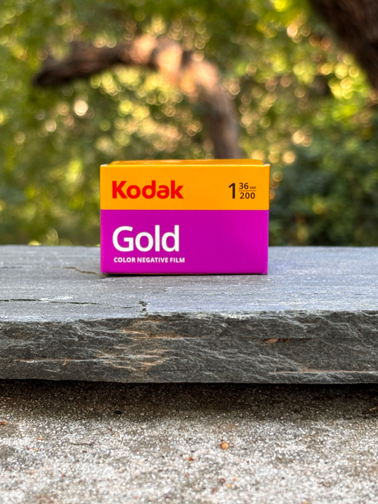 Kodak Professional Gold 200 Film - 35mm Format