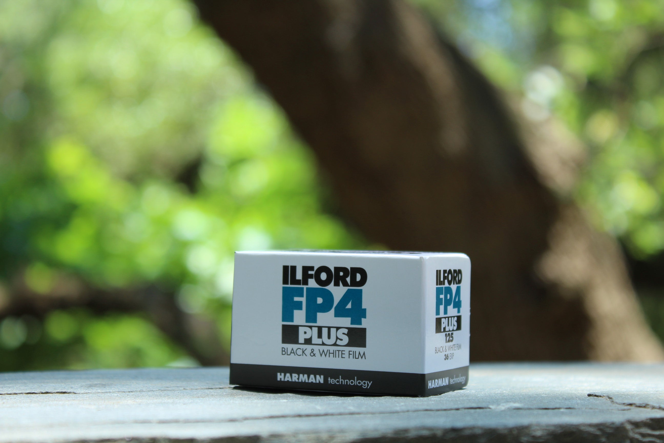 Ilford FP4 Plus Film - 35mm - 36 Exposures – Bluebird Film Shop