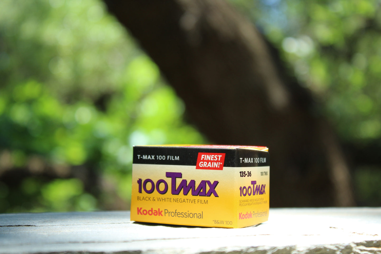 Kodak Professional T-Max 100 Film - 35mm - 36 Exposures