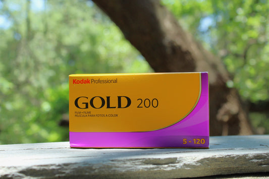 Kodak Professional Gold 200 Film - 120 Format